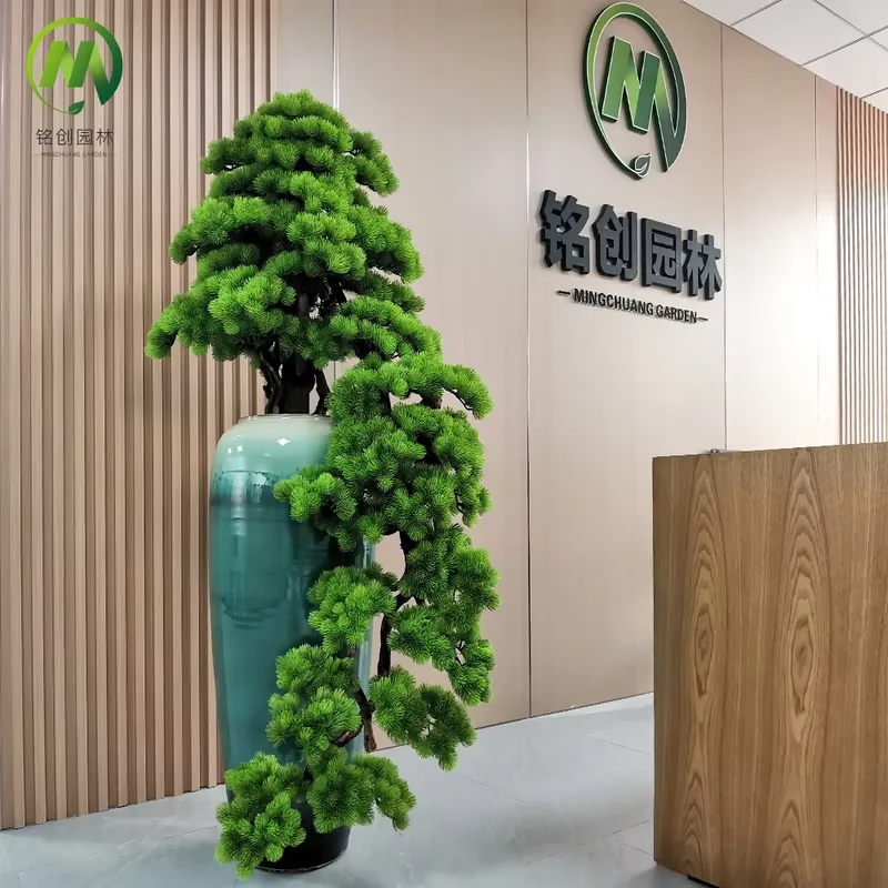 Decorative Evergreen Welcome P - Bonsai Tree Miniature Zen Garden recension och pris