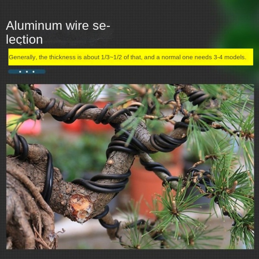Aluminum Bonsai Wire Garden Bo - Bonsai Garden Tools recension och pris