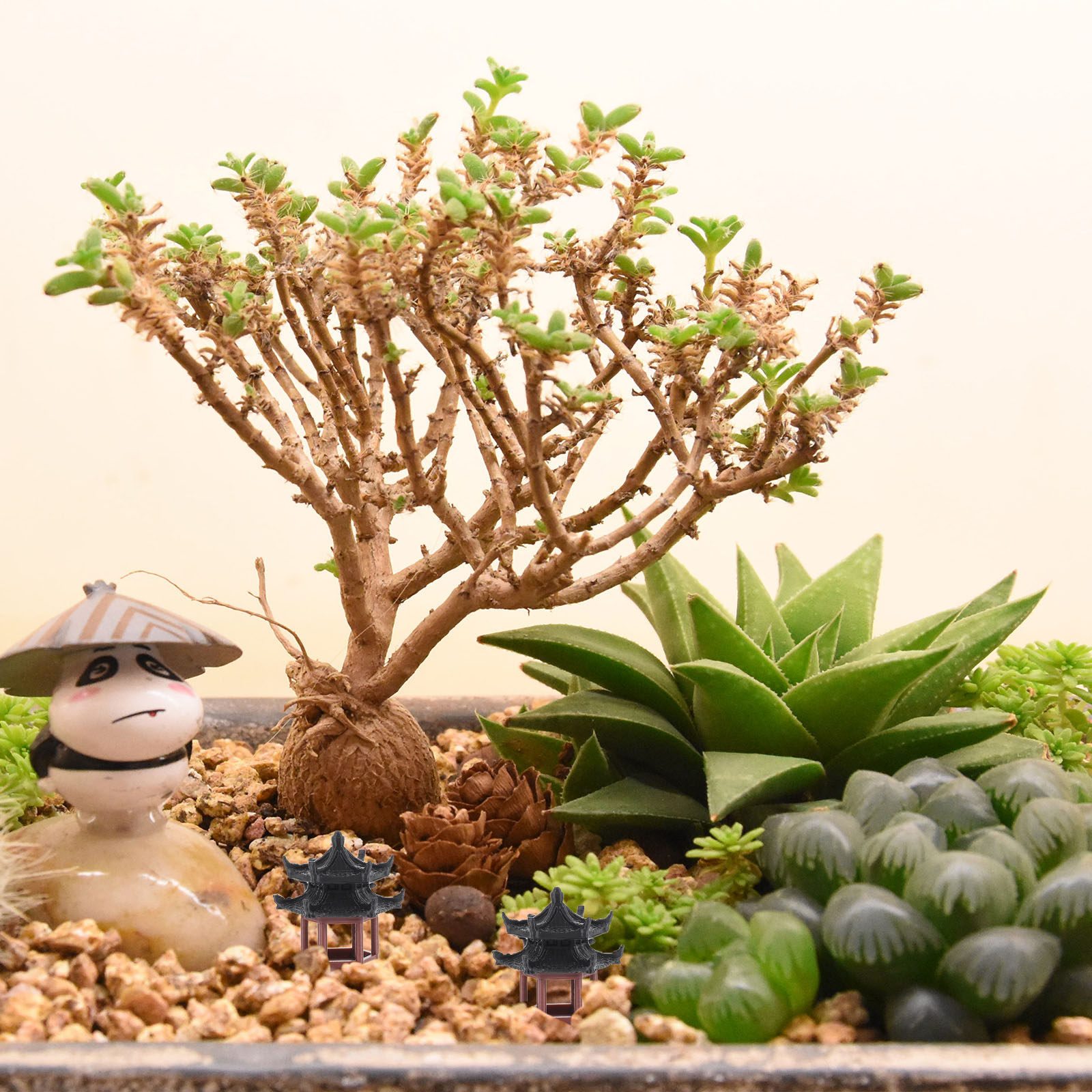 Exquisite Mini Hexagon Pavilio - Bonsai Garden Set Up recension och pris