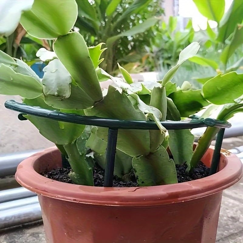 30-1PCS Plastic Plant Support  - Bonsai Garden Tools recension och pris