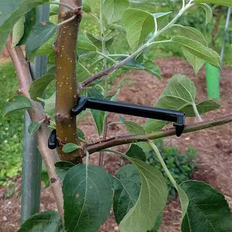 10-30Pcs Fruit Tree Clips Plan - Bonsai Garden Tools recension och pris