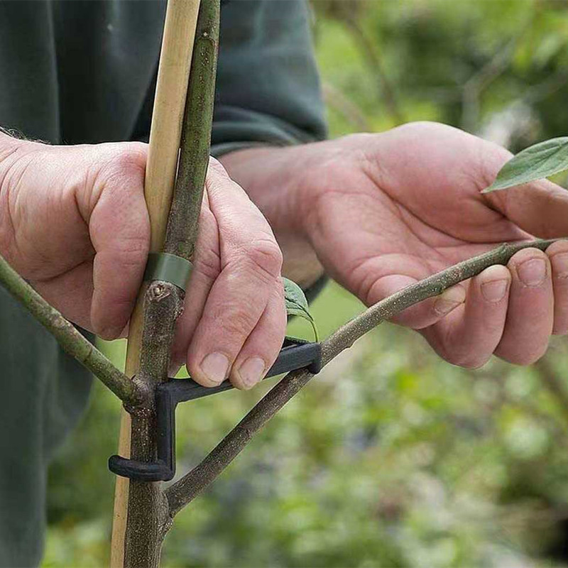 10-30Pcs Fruit Tree Clips Plan - Bonsai Garden Tools recension och pris
